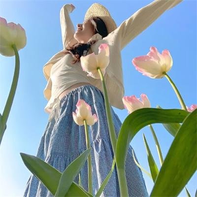 怪兽航线